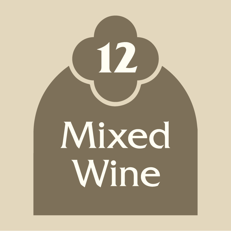 Life Improvement Plan 12 Pack Mixed Alpha Box & Dice